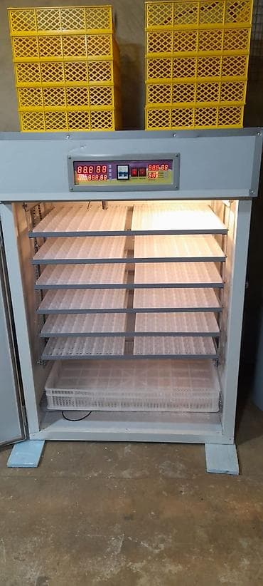 yer pompasi: Yumurta İnkubatoru – avtomatik idarəetməli, çoxməqsədli Məhsul — 2