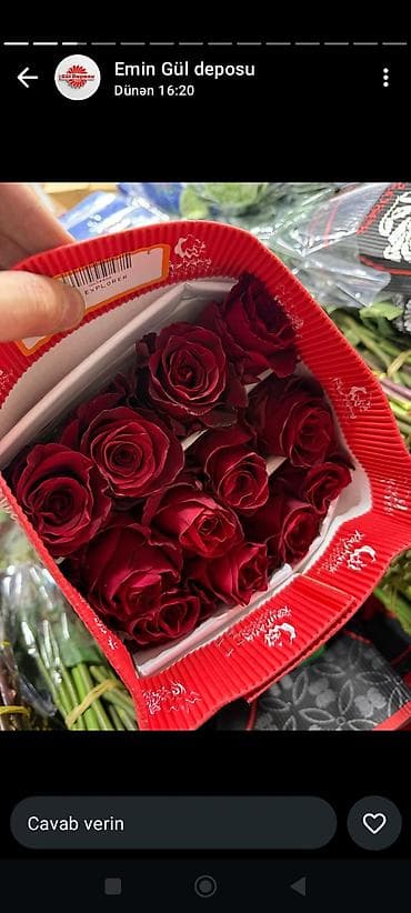 turpan gulu: 101-roza 190₼ - Növ: roza (kəsilmiş, bağlamada) - Rənglər: dərin — 1