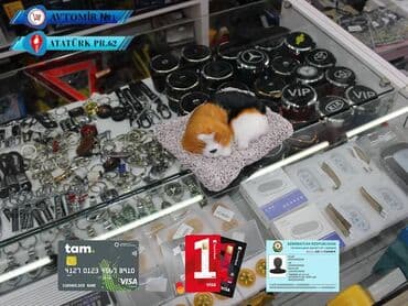 retro çimərlik geyimləri: Dekorativ it rengli bundan başqa hər növ avtomobi̇l aksessuarlarinin — 1