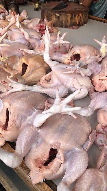 sacaqlı pendir: Təbii kənd məhsulları və ət məhsulları Gəncə Məhsullarımız artıq — 3