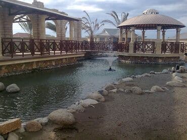 решетки на окна в баку: Shalale,cay,gol,ere dosheme,xasarlara ve evin fasadina tebii ve tokme — 17