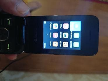 mini notebook computer: Alcatel OT-206, 4 GB, rəng - Gümüşü, Düyməli — 9