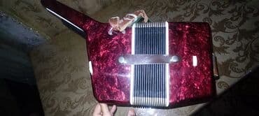 akkardion: Akustik Akkordeon, İşlənmiş, Ünvandan götürmə — 4