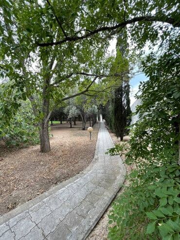 salyanda evlər: 15 otaq, 550 kv. m, Orta təmir — 13