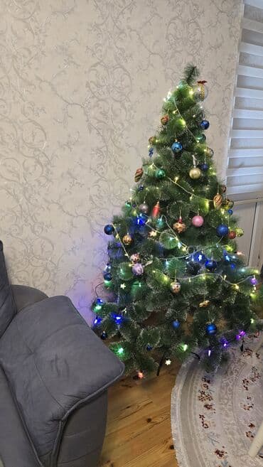 Bağ evi və bağ üçün hərşey: 1,80 Elka/yolka/şam agaci.
unvan qarayev metrosu — 1