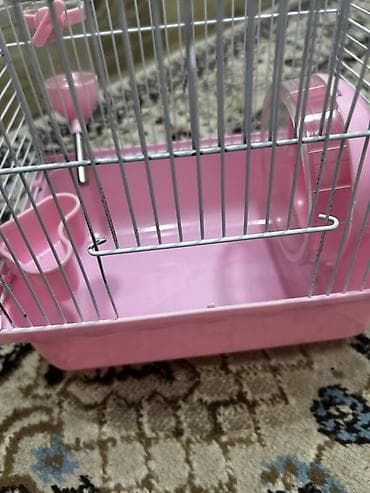 Yataqlar: 1 ədəd ana hamster 3 ədəd bala hamster 2 kletka biri böyük biri — 1