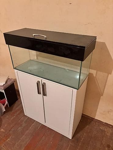 akvariyum: Dördbucaq akvarium, Boş, 80 l — 1