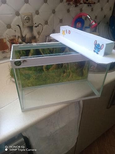 İtlər: Şüşə akvarium Mənzərəli fonu var qiymət sondur - Şəffaf şüşədən — 2