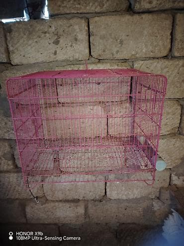 2ededidi 1ededi 15az