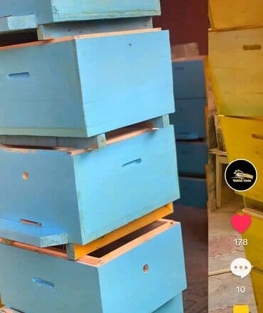 dovşan satılır: Ari yenşikləri satilir .yenidir saylari məhtudur — 2