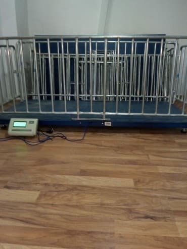 armaturun cekisi: Tərəzi (Qapan), Nağd ödəniş — 3