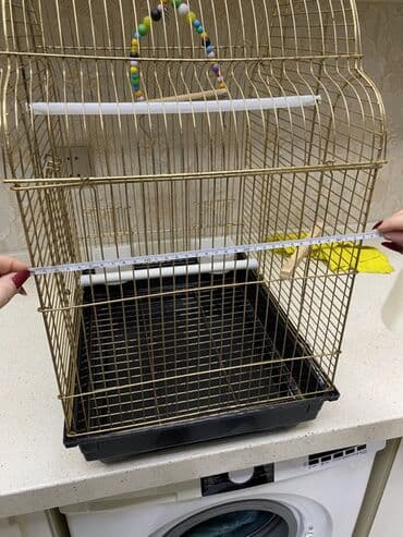 Xaltalar, qayışlar və tasmalar: Quş qəfəsi – klassik qızılı karkas, qara çıxarılan altlıqla Ölçülər — 4