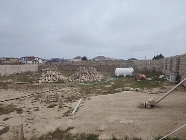 hasa: 9 sot, Tikinti, Maklerlər narahat etməsin, Kupça (Çıxarış) — 4