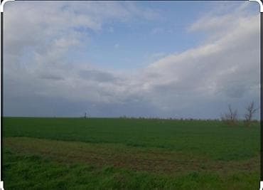 16000 sot, Kənd təsərrüfatı, Mülkiyyətçi, Kupça (Çıxarış)