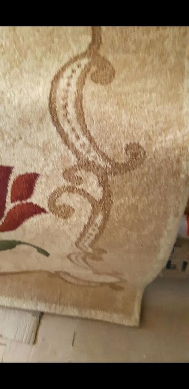 тулпан: Xalça – krem rəngli fon üzərində lalə naxışları - Naxış: qırmızı-lalə — 2