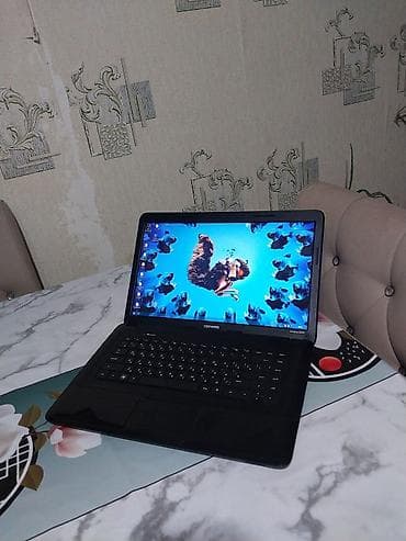 İşlənmiş HP ProBook, 15.6 ", AMD E1, 512 GB, Ünvandan götürmə, Ödənişli çatdırılma, Rayonlara çatdırılma — 1