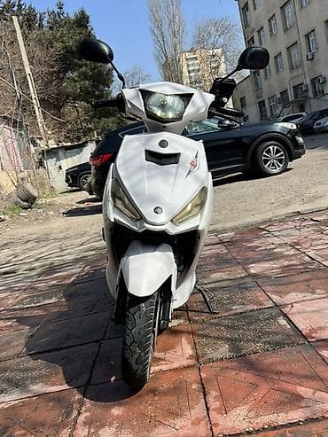 prado guzgu: Moon brand — 2