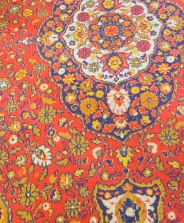 Bitkilər: Xalça — 5