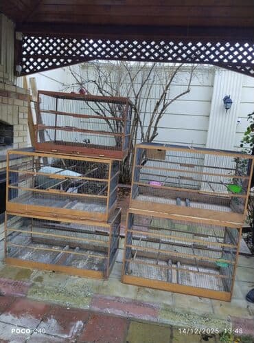 Subaru: Yalniz zeng Quşlar üçün nəzərdə tutulmuş, yaşıl damlı və ağ metal — 4