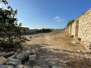 binə qəsəbəsi: 12 sot, Kupça (Çıxarış) — 15