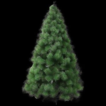 yolka qiymetleri 2021: 60 cm Qarlı-6. Sadə 6 azn 90 cm Qarlı 10 sadə 9 azn 110 cm — 3