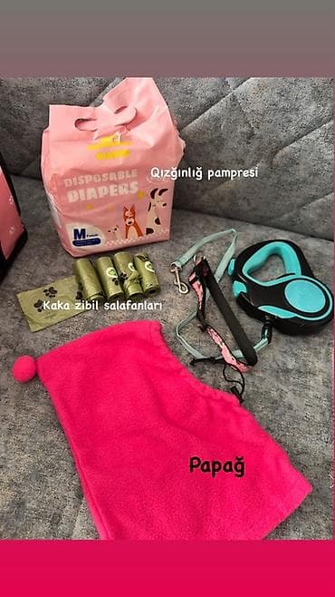 sharm: Ev heyvanları üçün tam aksesuar dəsti - Avtomobil üçün it/piar üçün — 4