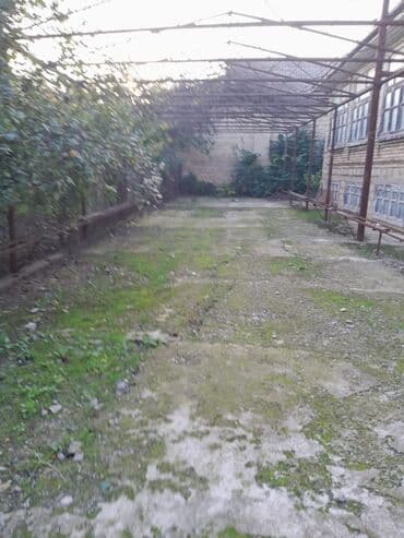 kiraye ev avtovagzal: 4 otaqlı, 195 kv. m, Kredit yoxdur, Orta təmir — 7