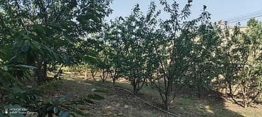 torpaq satşı: Kənd təsərrüfatı — 7