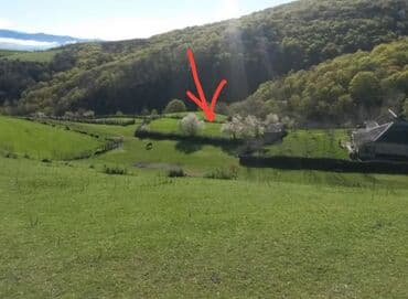 Qarajlar: 13 sot, Tikinti, Mülkiyyətçi, Kupça (Çıxarış) — 4