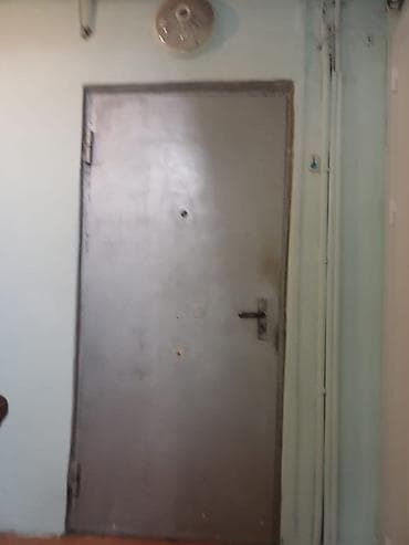 dəmir qapllar: Metall qapı – taxta dekorlu daxili üzlük - Material: kənar tərəfi tam — 1