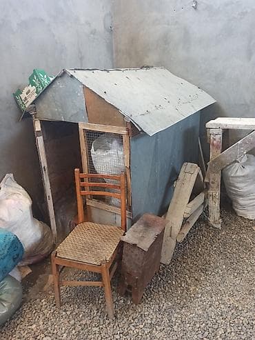 Dam satılır səliqəli yığılıb içi taxdayladi bir kilatkasi yoxdu — 3