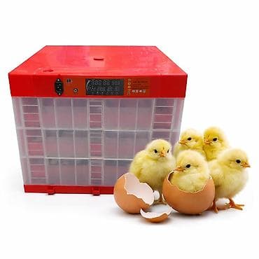 səyyar ev: INKUBATOR 🔥 Avtomatik Yumurtadan Çıxarma Aparatı (İnkubator) 🔥 🐣 Təzə — 2