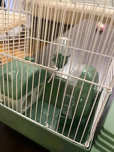 Heyvanlar üçün mallar: Hamster ucun qefes satilir, elave oyuncaqlar da var. Icini deyismek — 4
