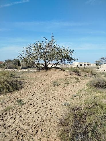 Продажа участков: 12 соток, Для строительства, Риэлторам не беспокоить, Купчая — 9