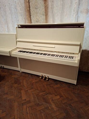 CD, DVD disklər və kassetlər: Piano, Belarus, Akustik, Yeni, Pulsuz çatdırılma — 2