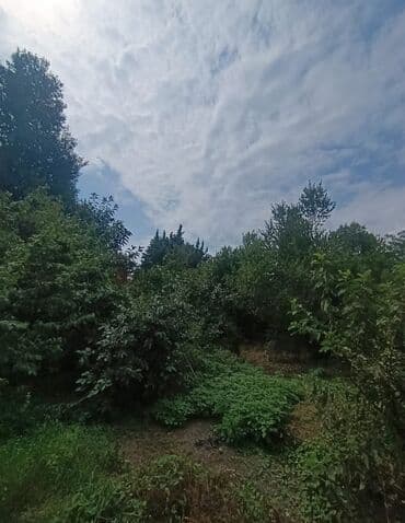 ismayillida satilan evler: 4 otaqlı, 95 kv. m, Kredit yoxdur, Orta təmir — 2