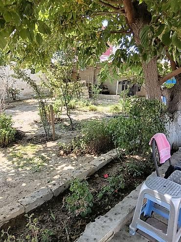 sumqayit emlak: Heyatyani sahesi 6 sotdur. Qaziwiq, su wollar, kanalzasiyasi,mawin — 8