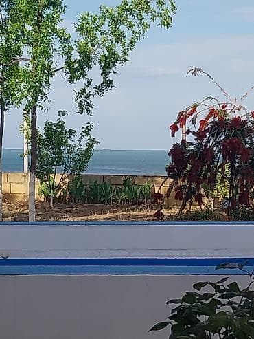 qubada ev: 50 kv. m, 3 otaqlı, Hovuzlu, Su, Qaz, İnternet — 3