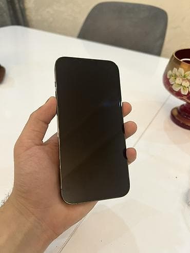 iphone 16 bakı: IPhone 13 Pro Max, 256 GB, Alpine Green, Simsiz şarj — 5
