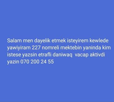 Dayəlik xidməti - Kewlədə yerləşir, 227 nömrəli məktəbin yaxınlığı -