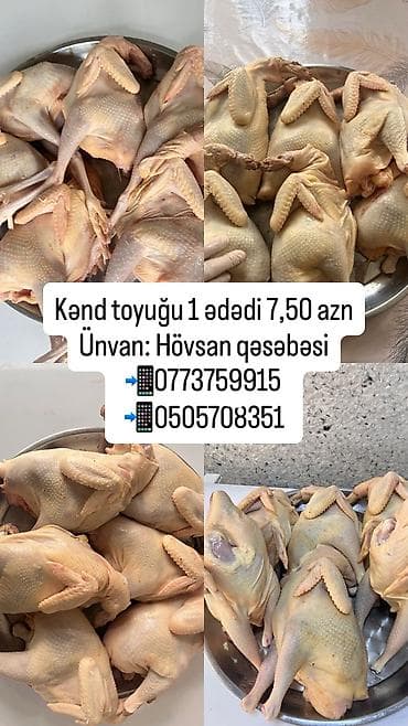 kənd məhsulları: Kənd toyuğu Toyuq Bütöv, Pərakəndə, Ödənişli çatdırılma — 1