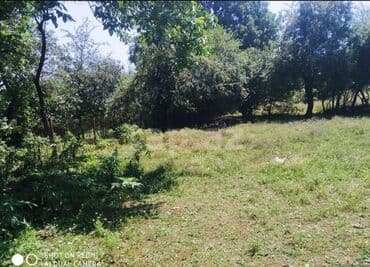 tecili satilan heyet evler 2016 type 0 per page 40: 3 соток, Купчая — 3