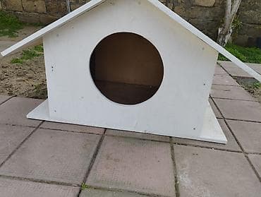 xaski itlər: Ağ rəngli taxta it evi - Material: möhkəm taxta lövhələr, xaricə — 2