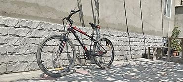 velosipet: START 2601 velosiped Şəhər içi gediş-gəliş, gəzinti və yüngül — 2