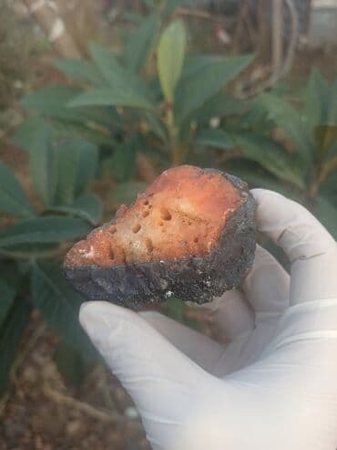 Kitablar və jurnallar: 💎 Qiymətlə bağlı maraqlananlar zəhmət olmasa nömrədən📞 whatsapp dan — 4