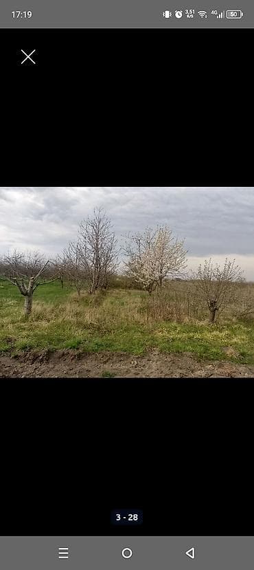 gence emlak satisi: Kənd təsərrüfatı — 2