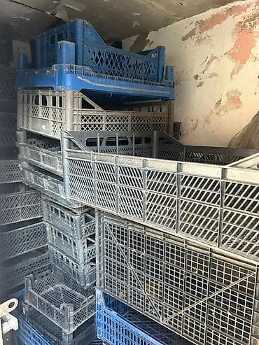 demir konteyner: Plastik meyvə-tərəvəz yeşikləri - Material: möhkəm plastik — 2