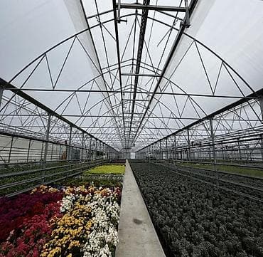 Şitillər: Parnik illik icarəyə verilir Çox xahiş olunur bu sahədə fəaloyyət — 3