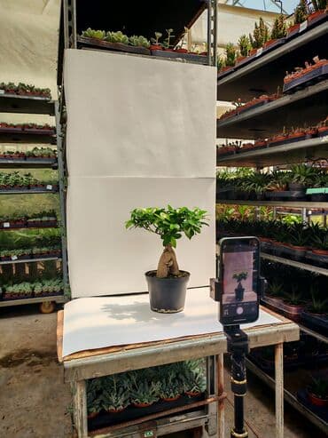 SMM menecer, 21 yaş, 3-5 illik təcrübə, Natamam iş günü