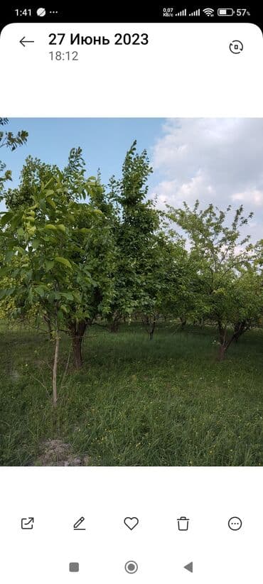 ferma icarəyə verilir: 10 sot, Tikinti, Mülkiyyətçi, Kupça (Çıxarış) — 4